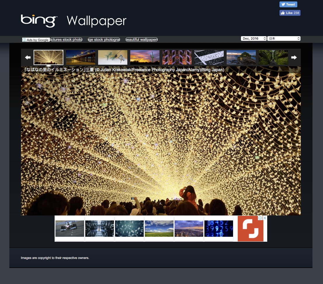 screen capture of bing wallpaper website