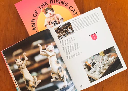 Picture showing an open book and a book cover with cats.